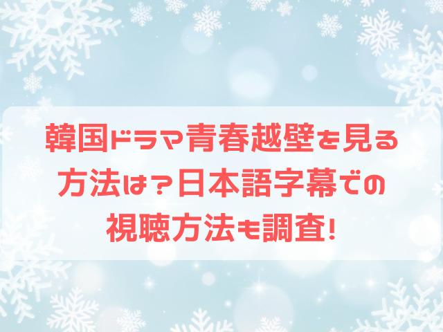 韓国ドラマ 青春越壁 見 る方法