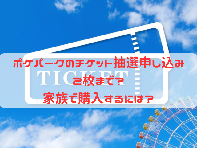 ポケパーク チケット 2枚