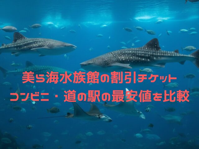 美ら海水族館 割引 コンビニ