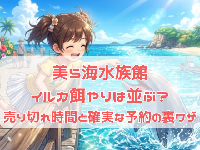 美ら海水族館イルカ給餌体験のイメージ